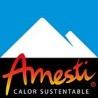 AMESTI